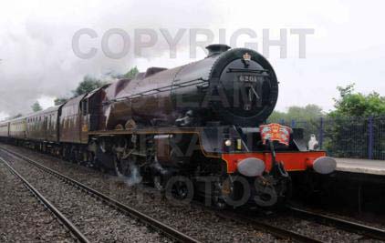 Purchase posters of 46201 PRINCESS ELIZABETH