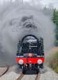Photograph of ROYAL SCOT - 46100 ROYAL SCOT at Culham on 04/09/21