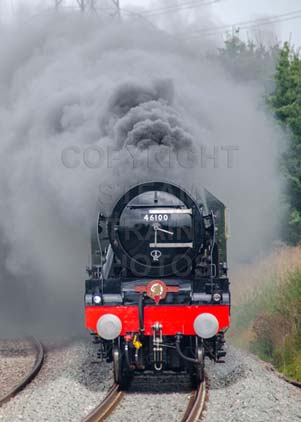 Purchase photo of 46100 ROYAL SCOT at Culham