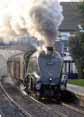 Photograph of UNION OF SOUTH AFRICA - 60009 UNION OF SOUTH AFRICA at Culham on 29/11/14