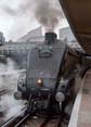 Photograph of UNION OF SOUTH AFRICA - 60009 UNION OF SOUTH AFRICA at London - Victoria on 09/08/18