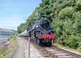 Photograph of BRAVEHEART - 75014 BRAVEHEART at Dartmouth Steam Railway on 02/08/19