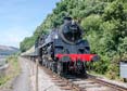 Photograph of BRAVEHEART - 75014 BRAVEHEART at Dartmouth Steam Railway on 02/08/19
