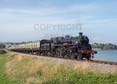 Photograph of BRAVEHEART - 75014 BRAVEHEART at Dartmouth Steam Railway on 02/08/19