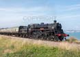 Photograph of BRAVEHEART - 75014 BRAVEHEART at Dartmouth Steam Railway on 02/08/19