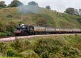 Photograph of BRAVEHEART - 75014 BRAVEHEART at Dartmouth Steam Railway on 07/09/23