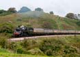 Photograph of BRAVEHEART - 75014 BRAVEHEART at Dartmouth Steam Railway on 07/09/23
