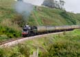Photograph of BRAVEHEART - 75014 BRAVEHEART at Dartmouth Steam Railway on 07/09/23