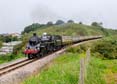 Photograph of BRAVEHEART - 75014 BRAVEHEART at Dartmouth Steam Railway on 07/09/23