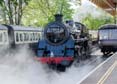 Photograph of BRAVEHEART - 75014 BRAVEHEART at Dartmouth Steam Railway on 10/05/19