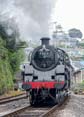 Photograph of BRAVEHEART - 75014 BRAVEHEART at Dartmouth Steam Railway on 10/05/19