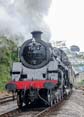 Photograph of BRAVEHEART - 75014 BRAVEHEART at Dartmouth Steam Railway on 10/05/19
