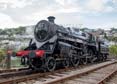 Photograph of BRAVEHEART - 75014 BRAVEHEART at Dartmouth Steam Railway on 10/05/19