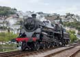 Photograph of BRAVEHEART - 75014 BRAVEHEART at Dartmouth Steam Railway on 10/05/19