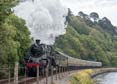 Photograph of BRAVEHEART - 75014 BRAVEHEART at Dartmouth Steam Railway on 10/05/19