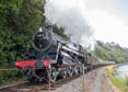Photograph of BRAVEHEART - 75014 BRAVEHEART at Dartmouth Steam Railway on 10/05/19