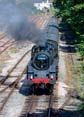 Photograph of BRAVEHEART - 75014 BRAVEHEART at Dartmouth Steam Railway on 16/07/22