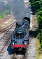 Photograph of BRAVEHEART - 75014 BRAVEHEART at Dartmouth Steam Railway on 16/07/22