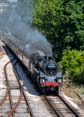 Photograph of BRAVEHEART - 75014 BRAVEHEART at Dartmouth Steam Railway on 16/07/22