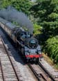 Photograph of BRAVEHEART - 75014 BRAVEHEART at Dartmouth Steam Railway on 16/07/22