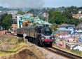 Photograph of BRAVEHEART - 75014 BRAVEHEART at Dartmouth Steam Railway on 16/07/22