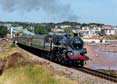 Photograph of BRAVEHEART - 75014 BRAVEHEART at Dartmouth Steam Railway on 16/07/22