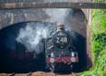 Photograph of CLUN CASTLE - 7029 CLUN CASTLE at Dawlish on 11/05/24