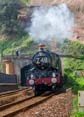 Photograph of CLUN CASTLE - 7029 CLUN CASTLE at Dawlish on 11/05/24