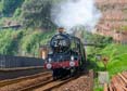 Photograph of CLUN CASTLE - 7029 CLUN CASTLE at Dawlish on 11/05/24