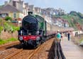 Photograph of MAYFLOWER - 61306 MAYFLOWER at Dawlish on 01/06/24