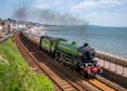Photograph of MAYFLOWER - 61306 MAYFLOWER at Dawlish on 01/06/24
