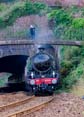 Photograph of MAYFLOWER - 61306 MAYFLOWER at Dawlish on 10/08/24