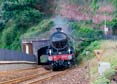 Photograph of MAYFLOWER - 61306 MAYFLOWER at Dawlish on 10/08/24