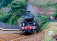 Photograph of MAYFLOWER - 61306 MAYFLOWER at Dawlish on 10/08/24