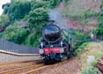 Photograph of MAYFLOWER - 61306 MAYFLOWER at Dawlish on 10/08/24