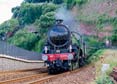Photograph of MAYFLOWER - 61306 MAYFLOWER at Dawlish on 10/08/24