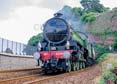 Photograph of MAYFLOWER - 61306 MAYFLOWER at Dawlish on 10/08/24