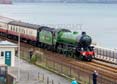 Photograph of MAYFLOWER - 61306 MAYFLOWER at Dawlish on 15/06/24