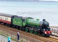 Photograph of MAYFLOWER - 61306 MAYFLOWER at Dawlish on 15/06/24