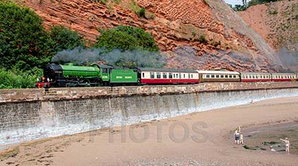 Purchase posters of 61306 MAYFLOWER