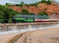 Photograph of MAYFLOWER - 61306 MAYFLOWER at Dawlish on 17/08/24