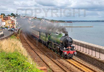 Purchase posters of 61306 MAYFLOWER