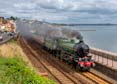 Photograph of MAYFLOWER - 61306 MAYFLOWER at Dawlish on 17/08/24
