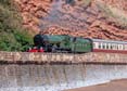 Photograph of NUNNEY CASTLE - 5029 NUNNEY CASTLE at Dawlish on 06/09/25