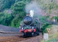 Photograph of NUNNEY CASTLE - 5029 NUNNEY CASTLE at Dawlish on 09/08/25