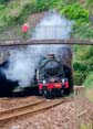 Photograph of NUNNEY CASTLE - 5029 NUNNEY CASTLE at Dawlish on 19/07/25