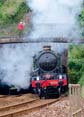 Photograph of NUNNEY CASTLE - 5029 NUNNEY CASTLE at Dawlish on 19/07/25