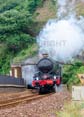 Photograph of NUNNEY CASTLE - 5029 NUNNEY CASTLE at Dawlish on 19/07/25