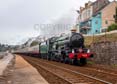 Photograph of NUNNEY CASTLE - 5029 NUNNEY CASTLE at Dawlish on 19/07/25