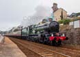 Photograph of NUNNEY CASTLE - 5029 NUNNEY CASTLE at Dawlish on 19/07/25